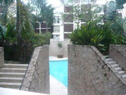 Palm Grove Condominium (D19), Condominium #575724721